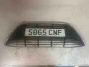 Gitter Grill vorne links FORD GRAND C-MAX (DXA/CB7, DXA/CEU) 1.6 TDCi D2A3B
