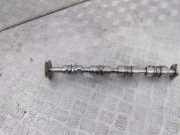 Ansaugkrümmer Audi Q7 (4L) 057109008R