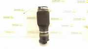 Pneumo-Stoßdämpfer hinten links MERCEDES-BENZ R (W251, V251) R 320 CDI 4-matic (251.022, 251.122) 2513200025