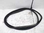 Türgummi links vorne Ford Transit Custom V362 Kasten (FY, FZ) JK21V20709AC