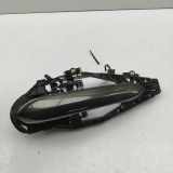 Türaußengriff hinten links BMW X6(G06) xDrive 30 d 8497641 9881773