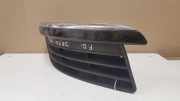 Kühlergrill unten VW Jetta III (1K2) 1K0853666J