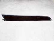 Türpolsterverkleidung hinten links AUDI A6 Allroad (4FH, C6) 2.7 TDI quattro 4F0867419A