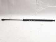 Heckklappe Gasdruckfeder rechts BMW X5 (E53) 3.0 i 51248402405