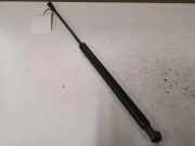 Heckklappe Gasdruckfeder rechts PEUGEOT 207 (WA_, WC_) 1.4 HDi 9650780480