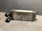 Kühlerluftumlenker PEUGEOT 508 SW 2.0 HDi P9684946380