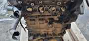 Motor ohne Anbauteile (Benzin) Skoda Octavia II (1Z) BLR
