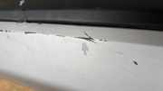 Stoßstange hinten Land Rover Discovery Sport (L550) FK7217927APIA01