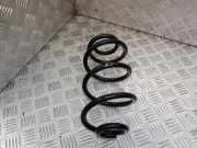 Federblatt links hinten Nissan Note (E11) BRAK