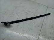 Türgummi rechts vorne VW Passat B6 CC (357) 3C8837472B