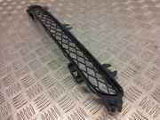 Gitter vorne unten BMW X3 (F25) xDrive 35 i 7210466