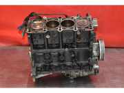 Motorblock Audi A4 Avant (8E, B7) BFB