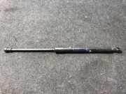 Gasfeder für Motorhaube BMW 1er (E81) 7118370