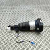 pneumatischer Stoßdämpfer hinten links