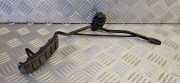 Fahrpedal Renault Megane Scenic (JA) 770089322