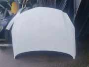 Motorhaube OPEL INSIGNIA A (G09) 2.0 Biturbo CDTI (68)