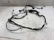 Kabel der vorderen linken Tür BMW X3 (G01, F97) xDrive 30 i 5A21D47