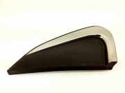 Schutzleiste Kotflügel Hyundai Ioniq (AE) 87810G2100