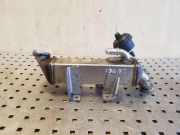 AGR-Kühler NISSAN X-TRAIL (T31) 2.0 dCi H8200620695 8200719993