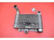 Ladeluftkühler Toyota Yaris Verso (P2) 33010359