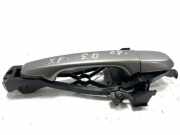 Türaußengriff hinten rechts JAGUAR XF SPORTBRAKE (X250) 3.0 D 30784203 30784202