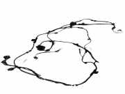 Kabelbaum BMW 7er (G11, G12) 7590363