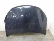 Motorhaube HYUNDAI SANTA FÉ III (DM) 2.2 CRDi 4WD