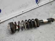 Stoßdämpfer hinten links BMW X3 (F25) sDrive 18 d A6796313