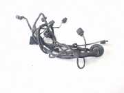 Kabelbaum Audi Q5 (8R) 8R0971104AC