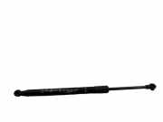 Heckklappe Gasdruckfeder links BMW 3 Cabrio (E93) 320 i 3538XO0320N 51247129494