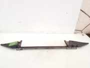 Anzeigetafel Rahmen BMW X5 (E53) 3.0 i 17111439117