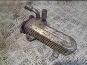 Abgaskühler VW Touran (1T1, 1T2) 038131513AD