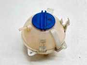 Ausgleichsbehälter VW CADDY III Furgon (2KA, 2KH, 2CA, 2CH) 2.0 TDI 16V 1K0121407 DZHLS0974