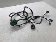 Kabel der vorderen linken Tür FIAT 500L (351_, 352_) 1.4 0815239