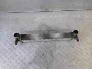 Ladeluftkühler Skoda Rapid (NH) 6R0145805