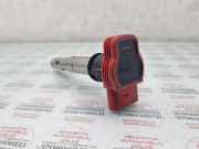 Zündspule AUDI Q7 (4L) 4.2 TDI quattro 0040102032