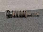 Stoßdämpfer hinten links BMW X3 (F25) xDrive 30 d 6796422