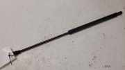 Gasfeder für Motorhaube Citroen C5 II (RC) 9628059280
