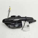 Türaußengriff hinten links LAND ROVER DISCOVERY V (L462) 3.0 D 4x4 FK72-224A81-AA