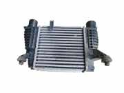 Ladeluftkühler NISSAN JUKE (F15) 1.5 dCi 14461EM00A