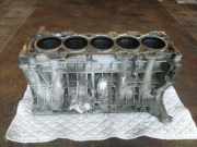 Motorblock VOLVO V70 III (BW) D5