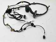 Türverkabelung hinten rechts RENAULT TALISMAN Grandtour (KP_) 1.6 dCi 160 6905 241264591R