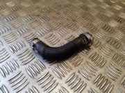 Entlüftungsschlauch PEUGEOT 4007 (GP_) 2.2 HDi