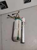 Kraftstofftankpumpe AUDI A8 D3 (4E2, 4E8) 4.0 TDI quattro 228296