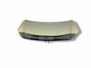 Motorhaube RENAULT KOLEOS I (HY_) 2.0 dCi 4x4 (HY0K)
