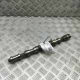 Einlassnockenwelle BENTLEY CONTINENTAL Coupe (3W_) 4.0 FLEX AWD 079109003FQ