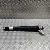 Stoßdämpfer hinten rechts AUDI Q4 SUV (F4B) 40 e-tron 1EA512013AS