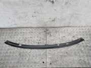 Zierleiste Windschutzscheibe Frontscheibe AUDI A3 (8P1) 1.9 TDI 8P7845389A