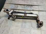 AGR-Kühler OPEL ASTRA H Furgon (L70) 1.7 CDTI 8973635151