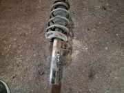 Stoßdämpfer vorne rechts VW GOLF VIII (CD1) 1.0 TSI 1K0413031BE